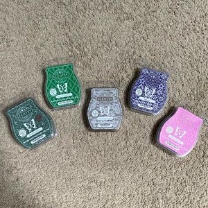 NEW scentsy wax melt bundle (6 pieces)